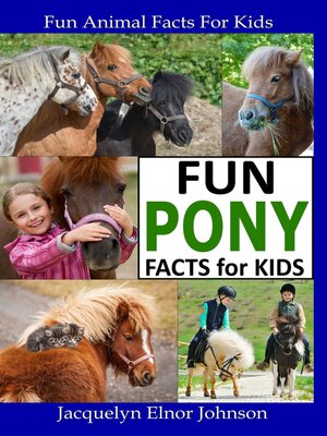 cover image of Fun Pony Facts for Kids